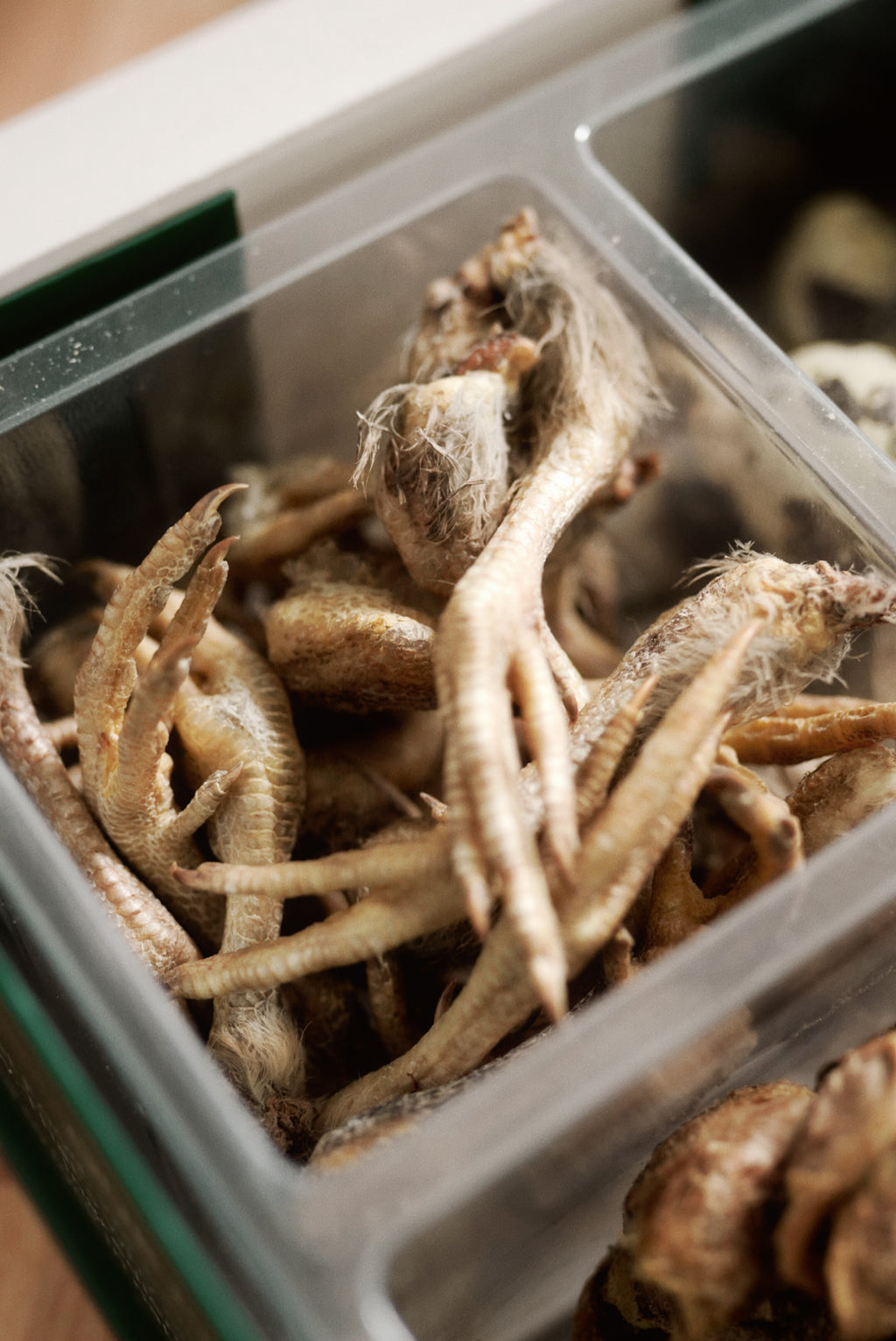 PANTA Quail Collection Box