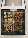 PANTA Quail Collection Gift Box