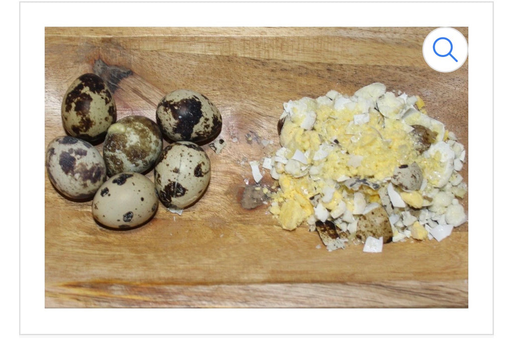 Quail Eggs – Freeze-Dried Treats