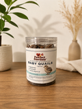 Baby Quails– Freeze-Dried Treats