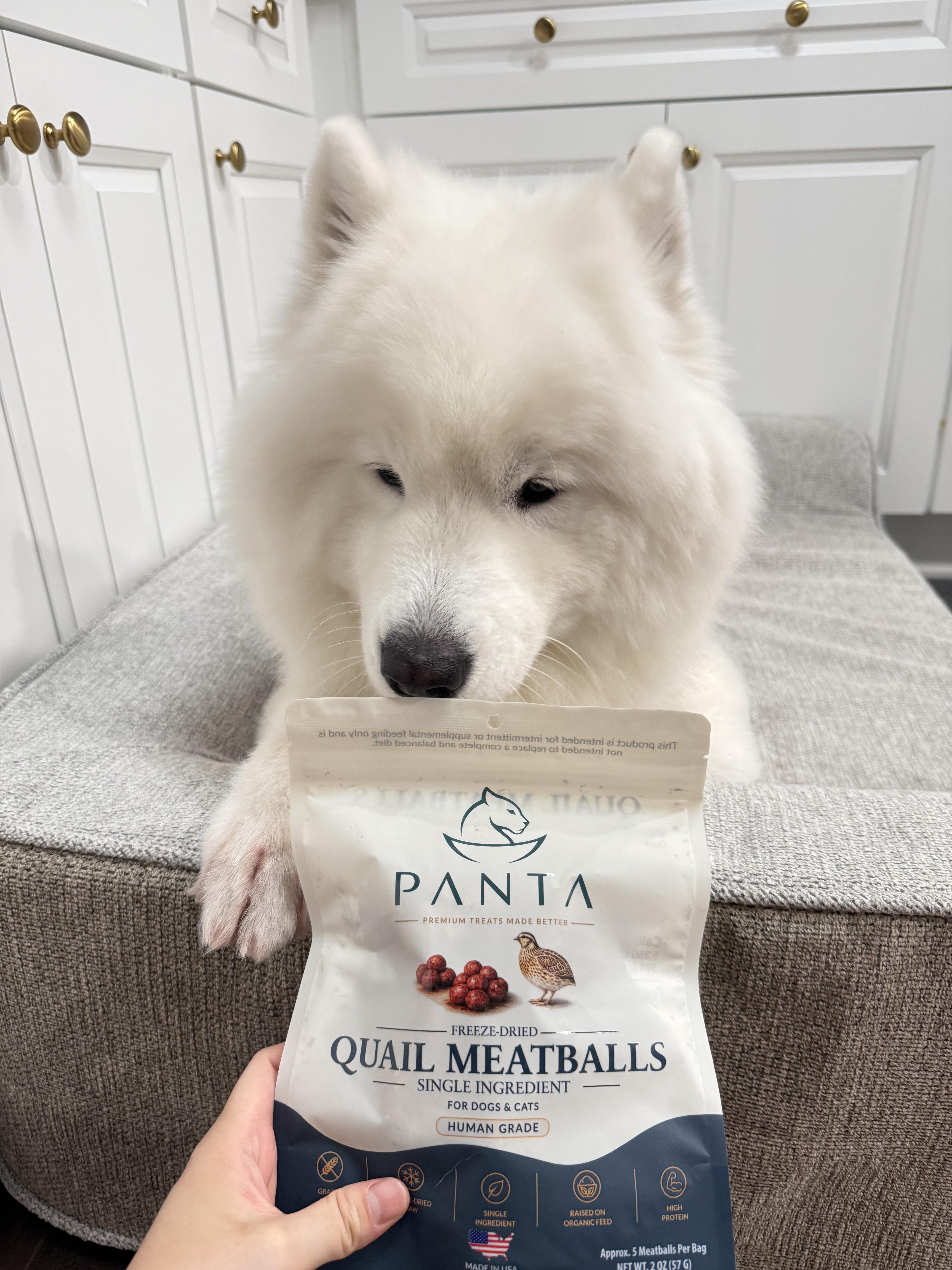 Freeze-Dried Quail Meatballs