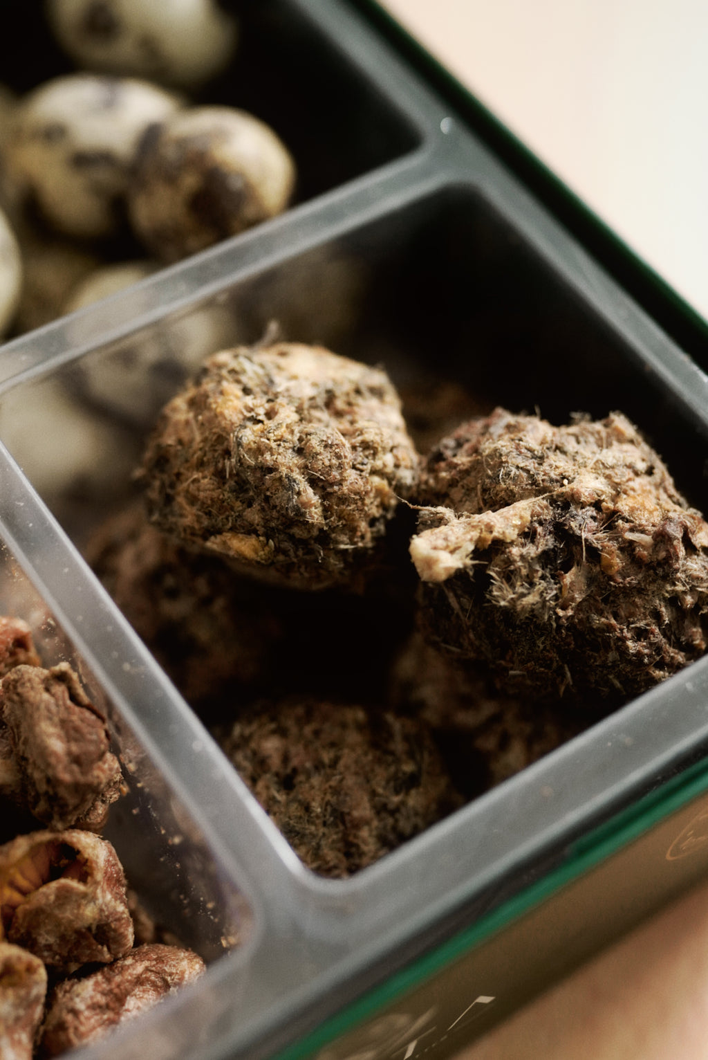 PANTA Quail Collection Box