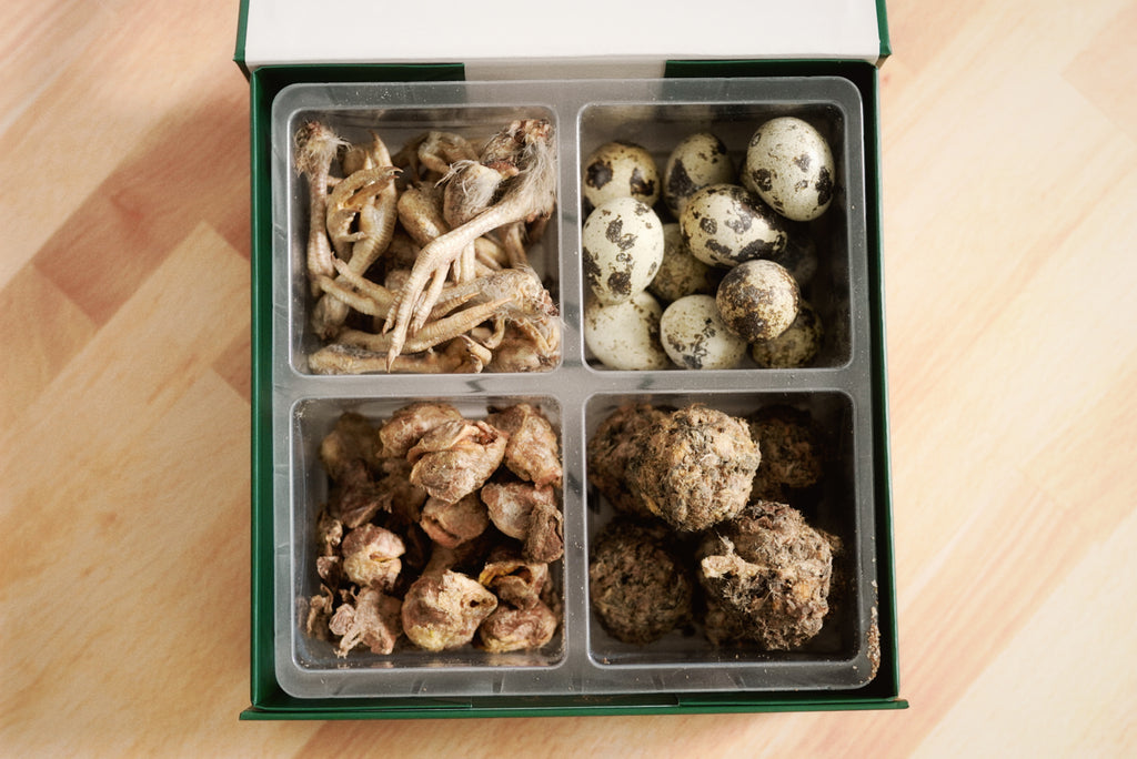 PANTA Quail Collection Box