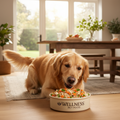 Large Dog Fresh Food Plan (60–100 lbs)