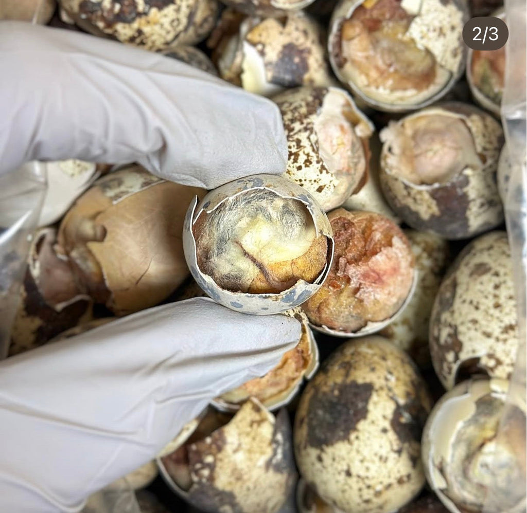 Freeze-Dried Balut Quail Eggs